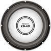 ��������� �������� 10" Prology CS-10